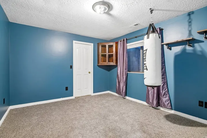 Carpeted room with blue walls, a white door, and a built-in wooden corner cabinet