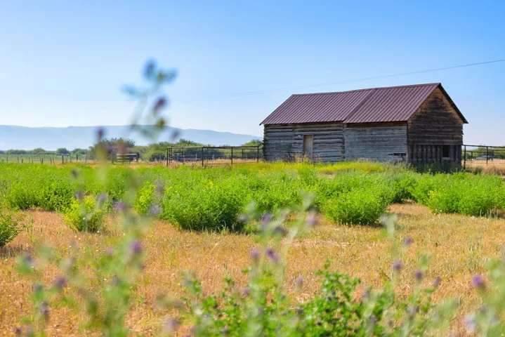 Rustic wooden barn with a corrugated metal roof, surrounded by expansive grassland
