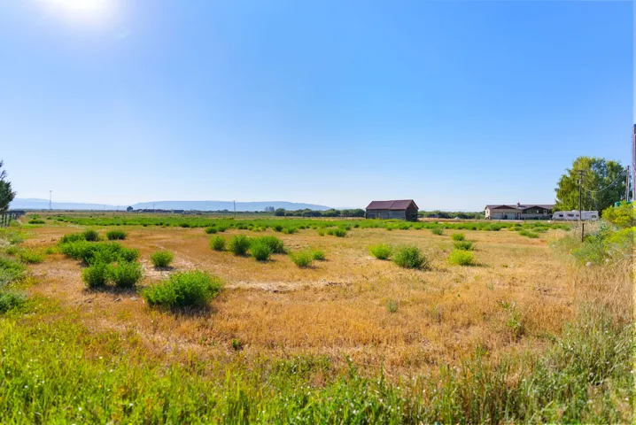 Expansive open land with natural vegetation, clear sky, and distant mountain range