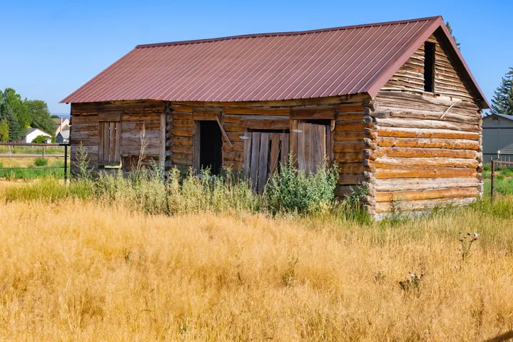 Log cabin structure with a metal roof