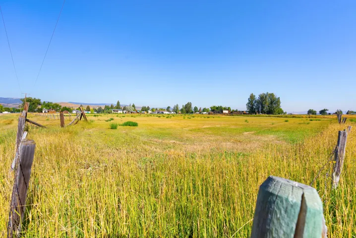 Expansive open field with natural grasses and distant mountain range