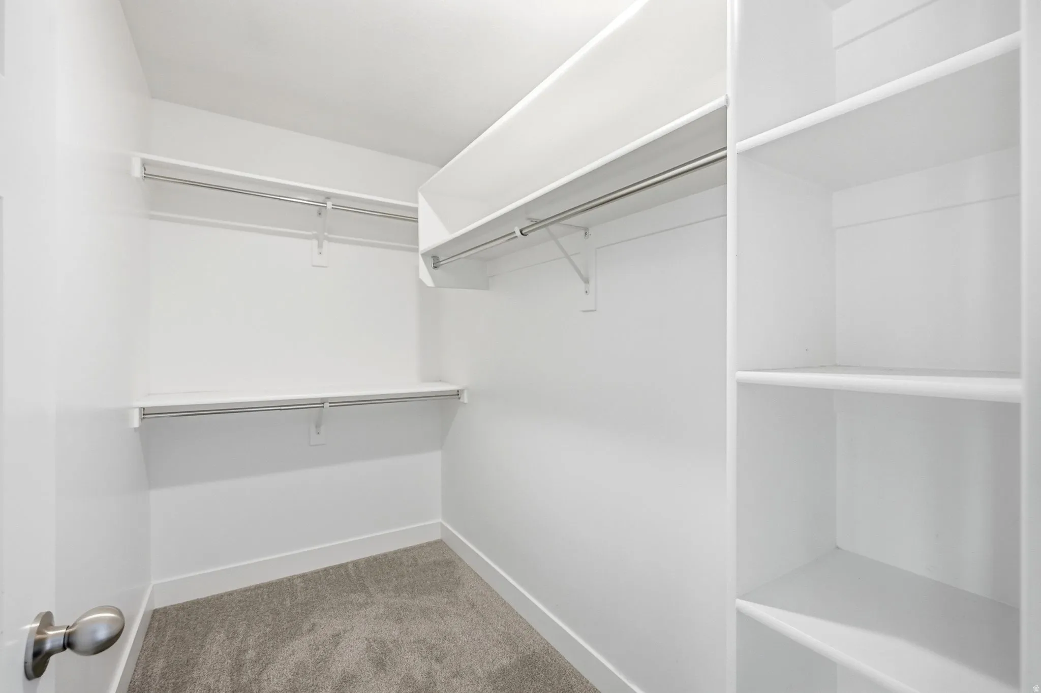 Walk-in closet featuring white built-in shelving, hanging rods, and gray carpet
