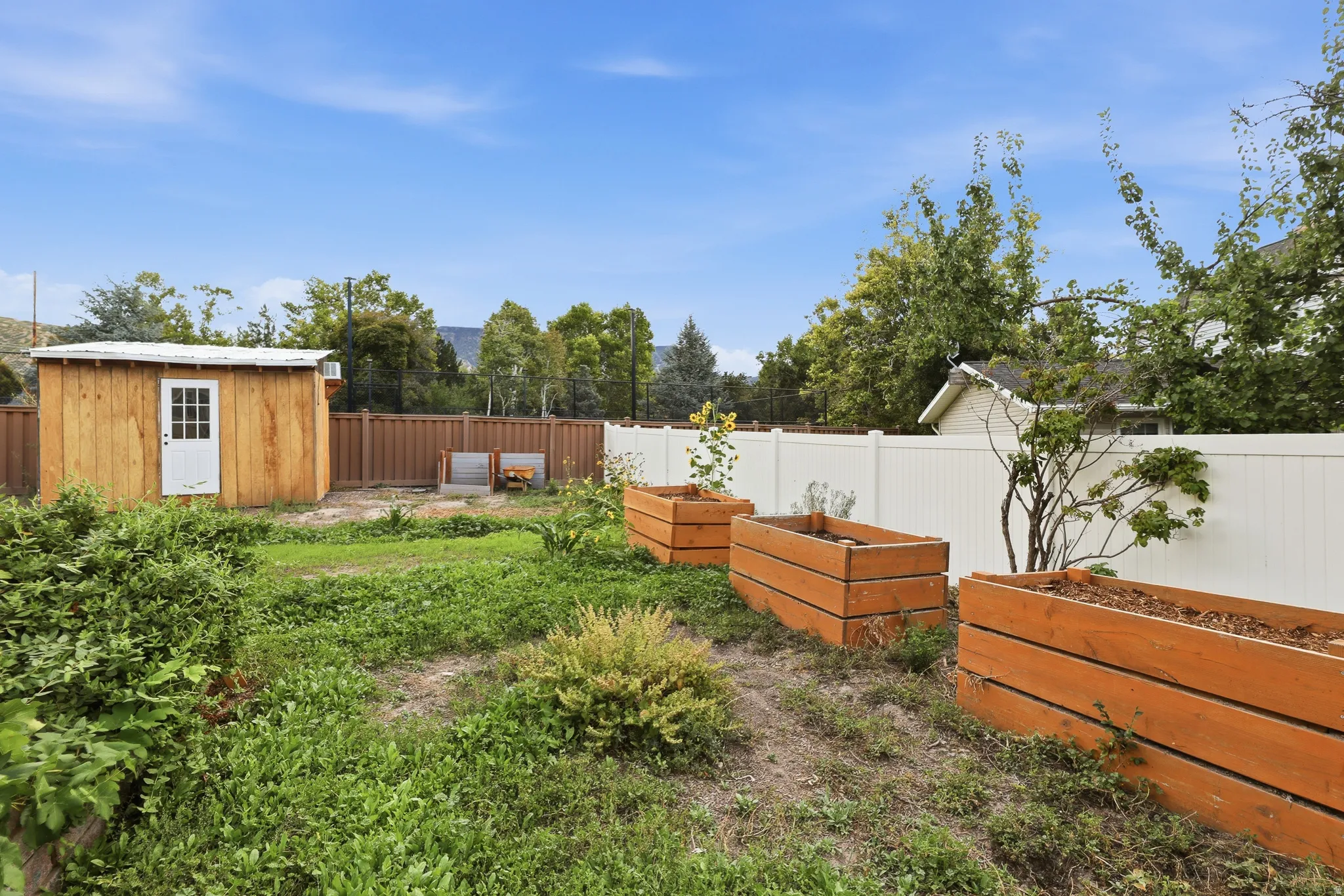 Fenced backyard with a wood-sided shed, multiple large raised garden beds, and a white privacy fence