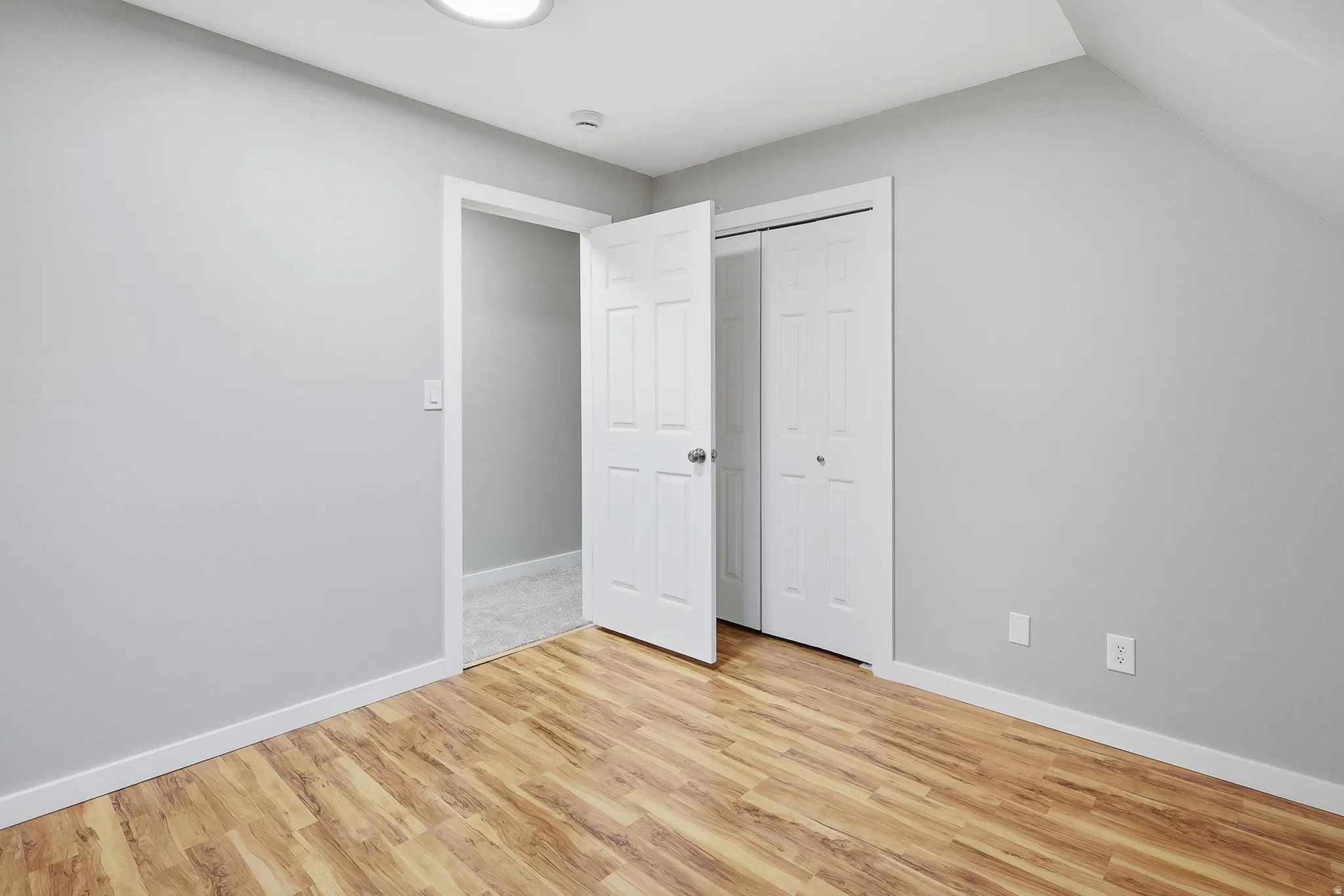 Room featuring wood-finish flooring, light gray walls, a flush-mount ceiling light, and white paneled doors