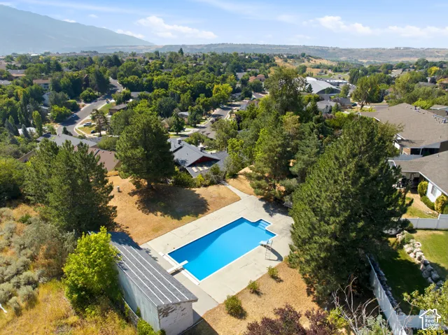 In-ground swimming pool with diving board, surrounded by mature trees and residential landscaping