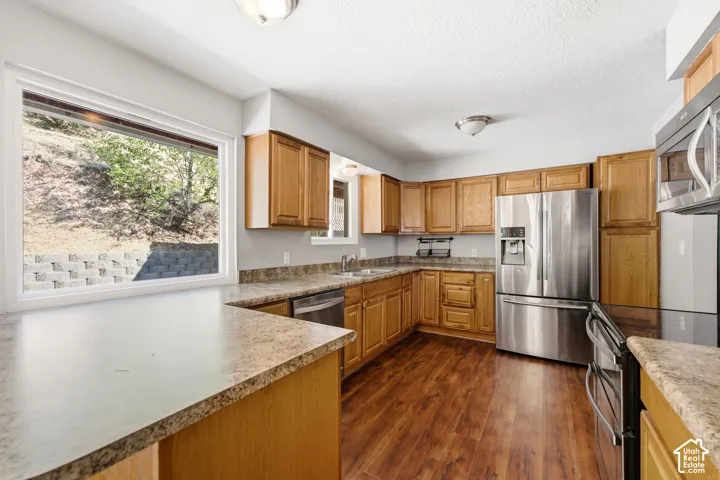 Kitchen featuring wood-finish flooring, light wood cabinetry, stainless steel appliances, and a large window
