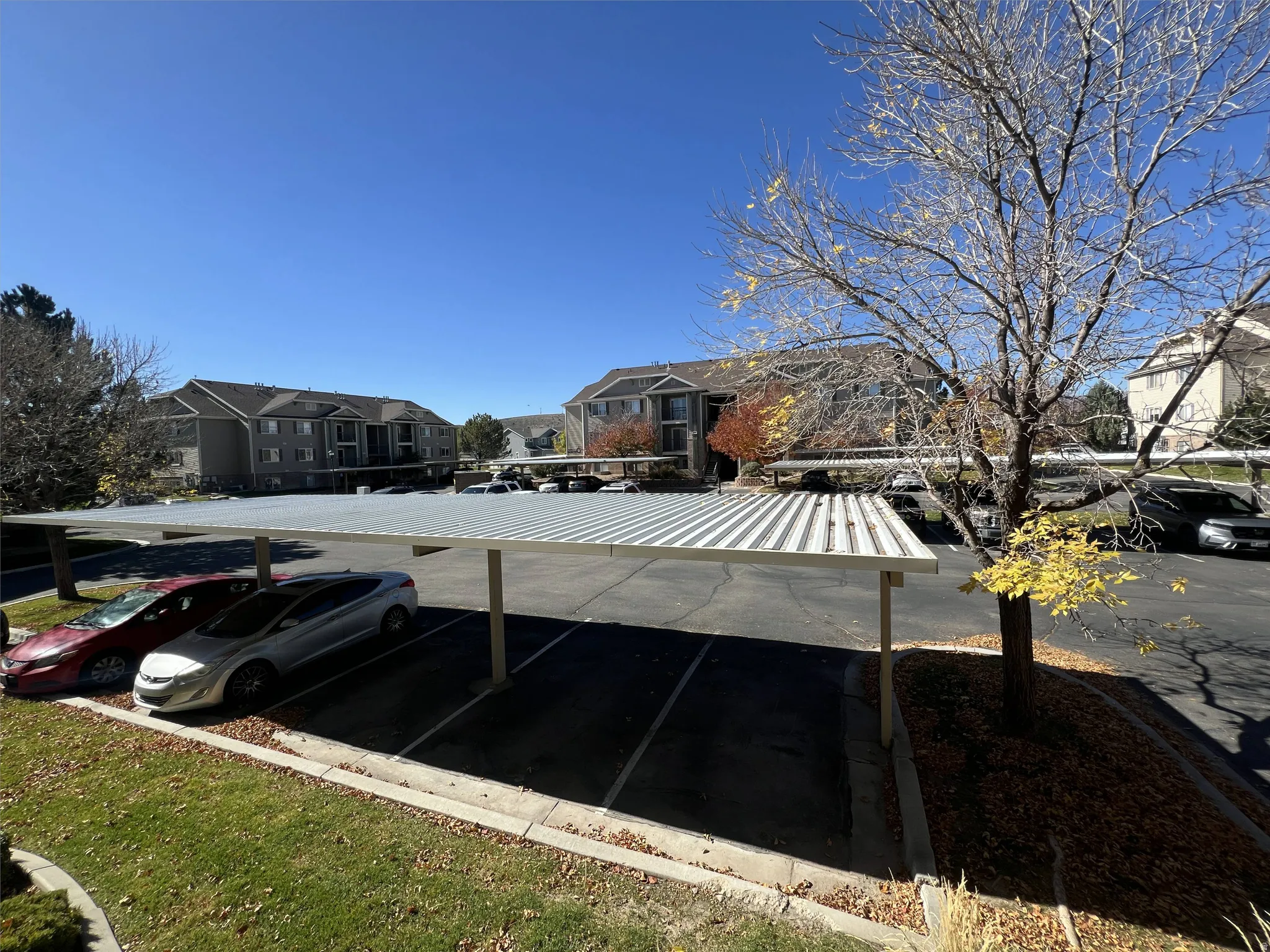 Covered parking structure with multiple spaces and adjacent green space