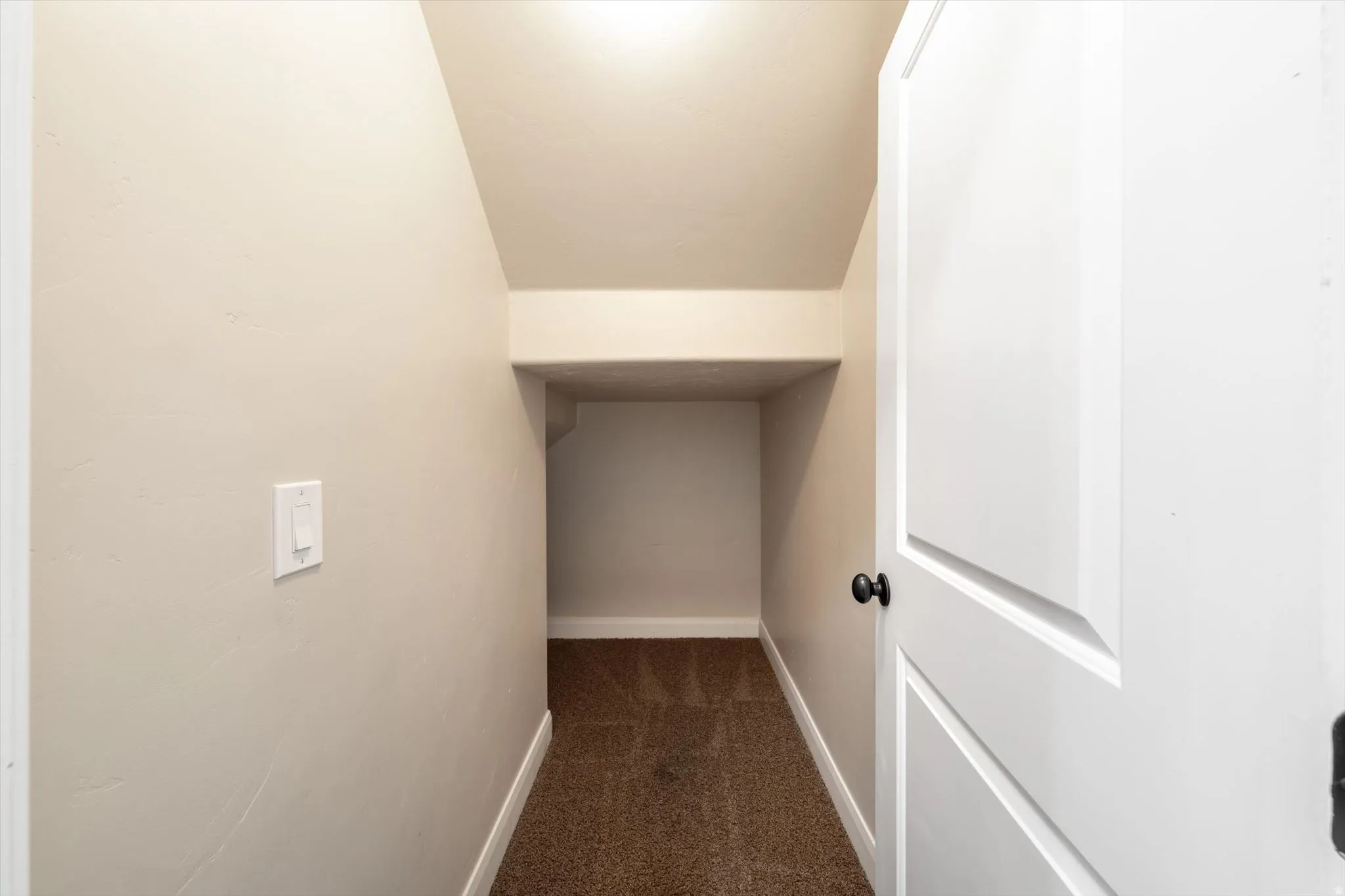 Carpeted alcove with recessed lighting and a paneled interior door featuring a black knob