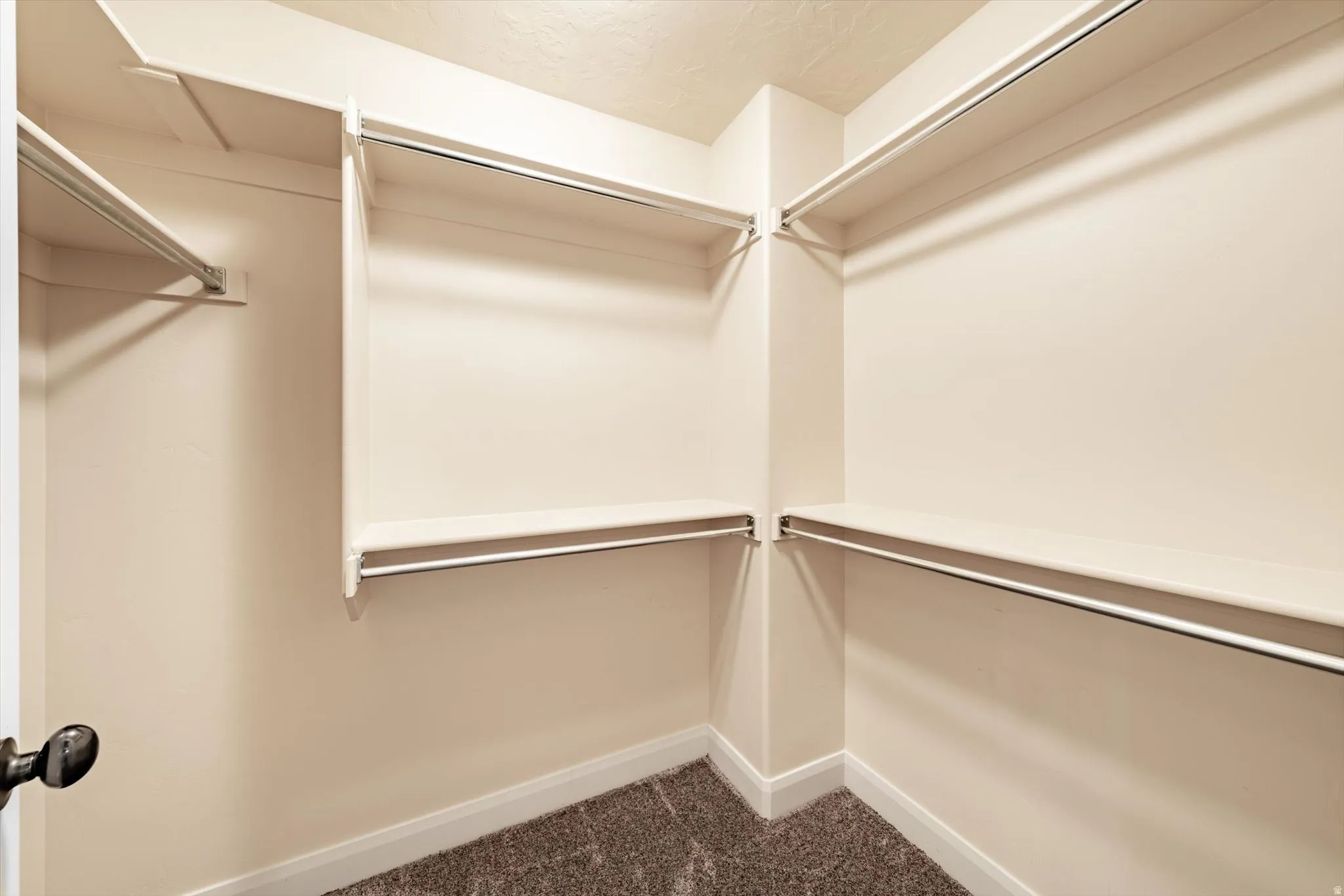 Walk-in closet featuring built-in shelving, chrome hanging rods, and carpet flooring