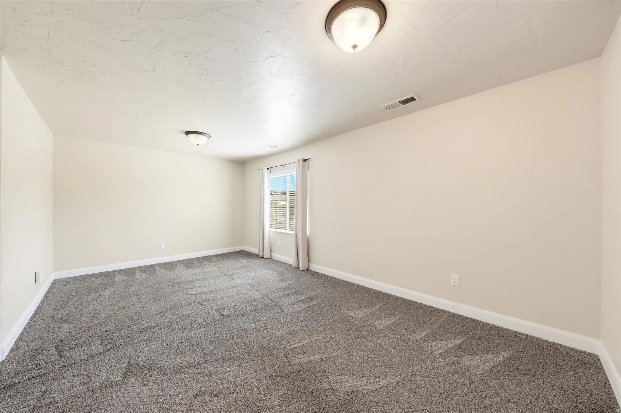 Neutral wall paint, ceiling-mounted lighting, textured ceiling, and window with textile treatments