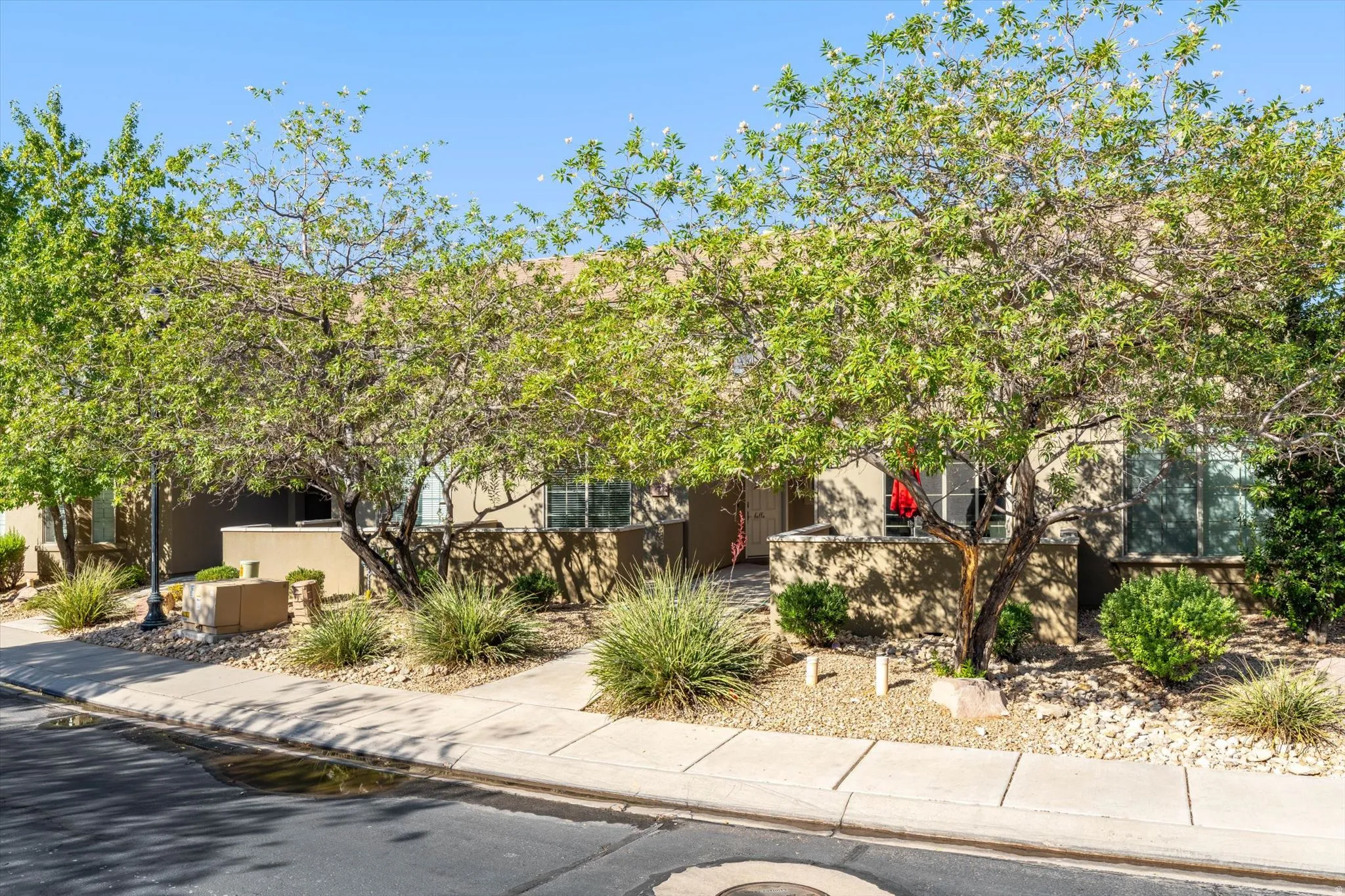 Stucco exterior with multiple windows, mature trees, and landscaped rock beds