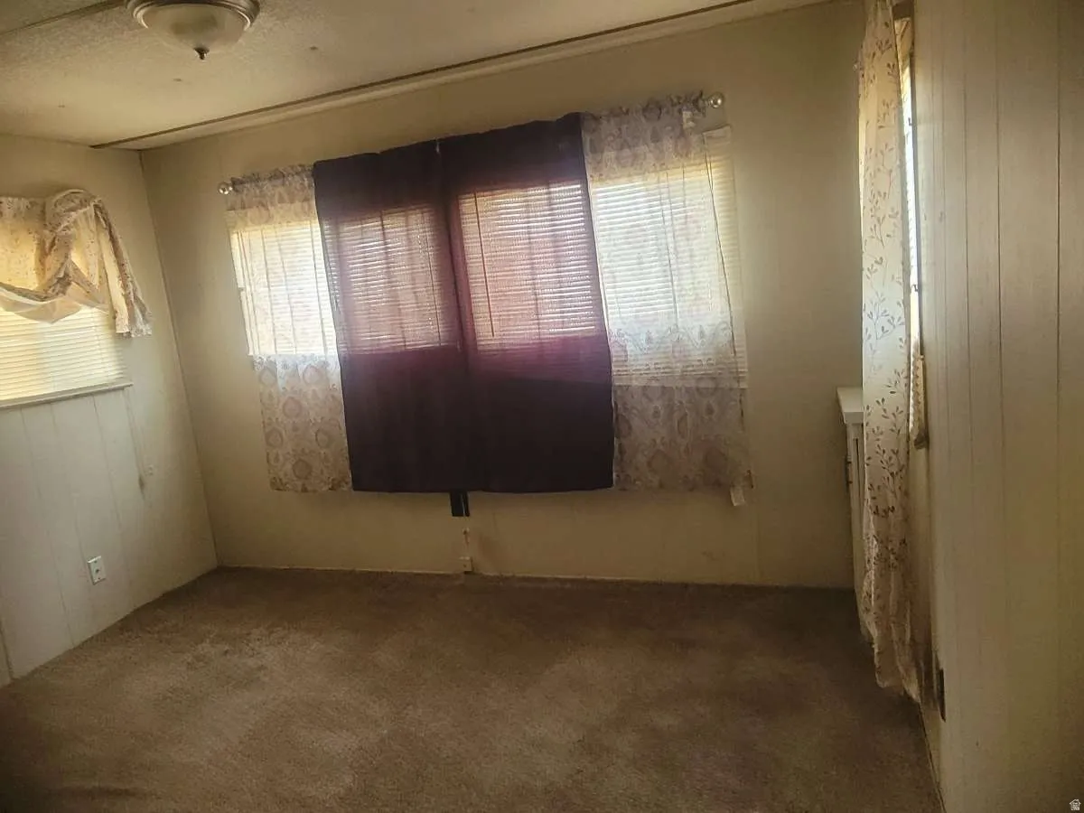 Carpeted room featuring a ceiling-mounted light fixture, two windows with horizontal blinds, and a paneled wall accent