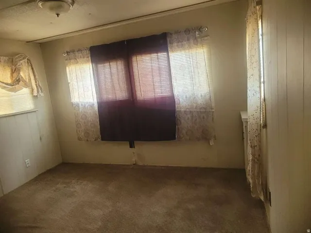 Carpeted room featuring a ceiling-mounted light fixture, two windows with horizontal blinds, and a paneled wall accent