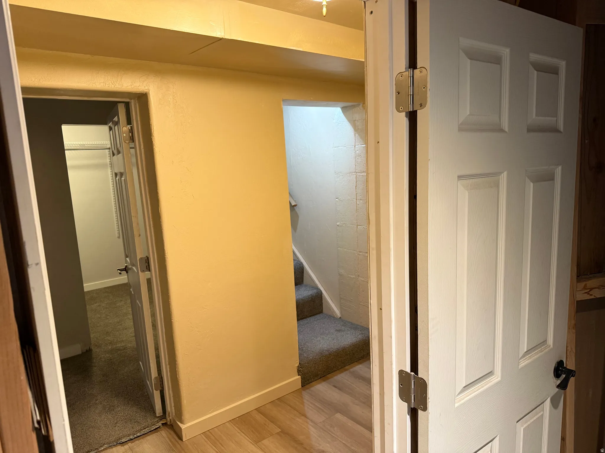 Wood-finish flooring, paneled interior doors, and carpeted stairs
