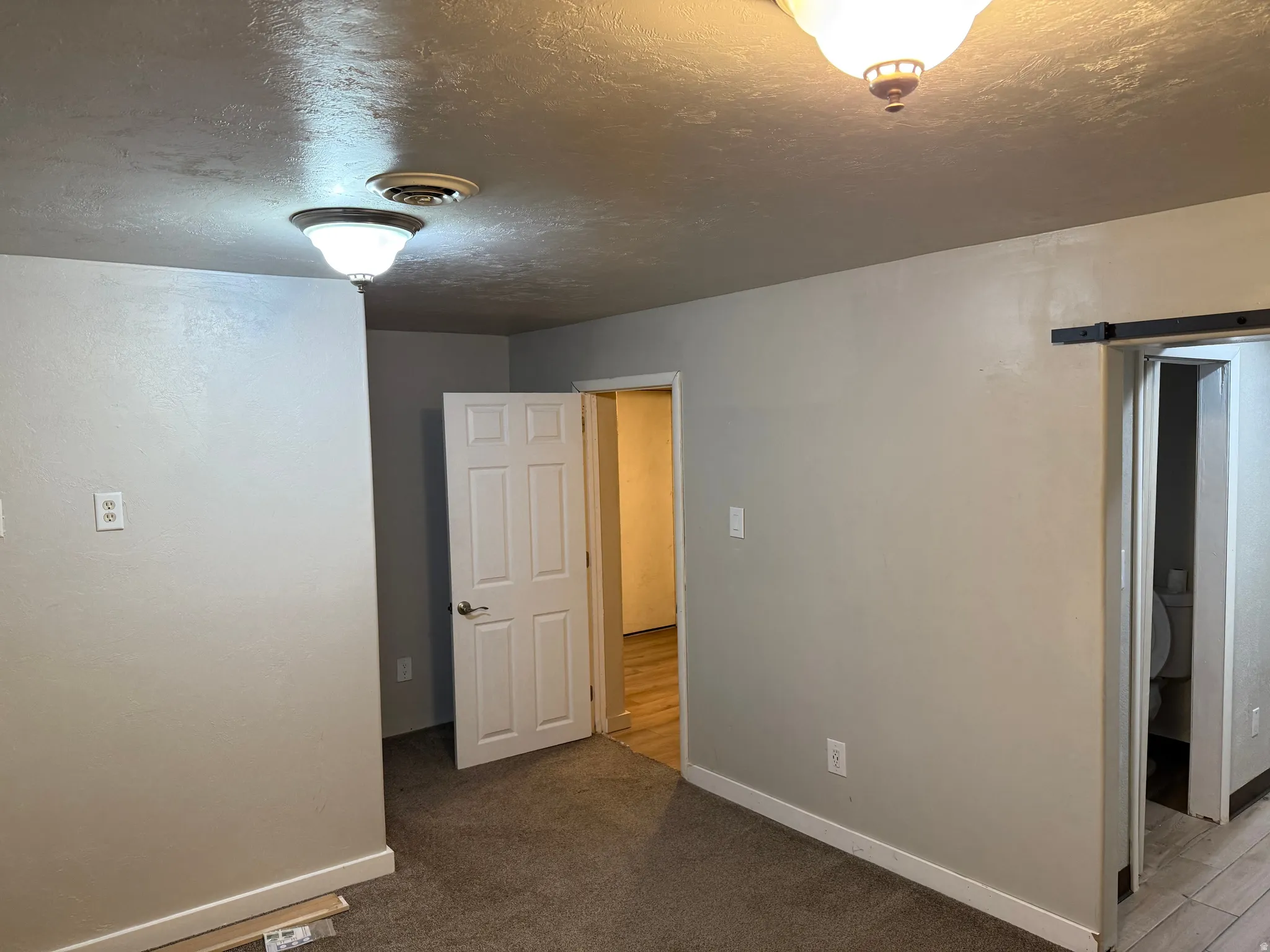 Neutral paint palette with carpet flooring, a white paneled door, and ceiling-mounted light fixtures