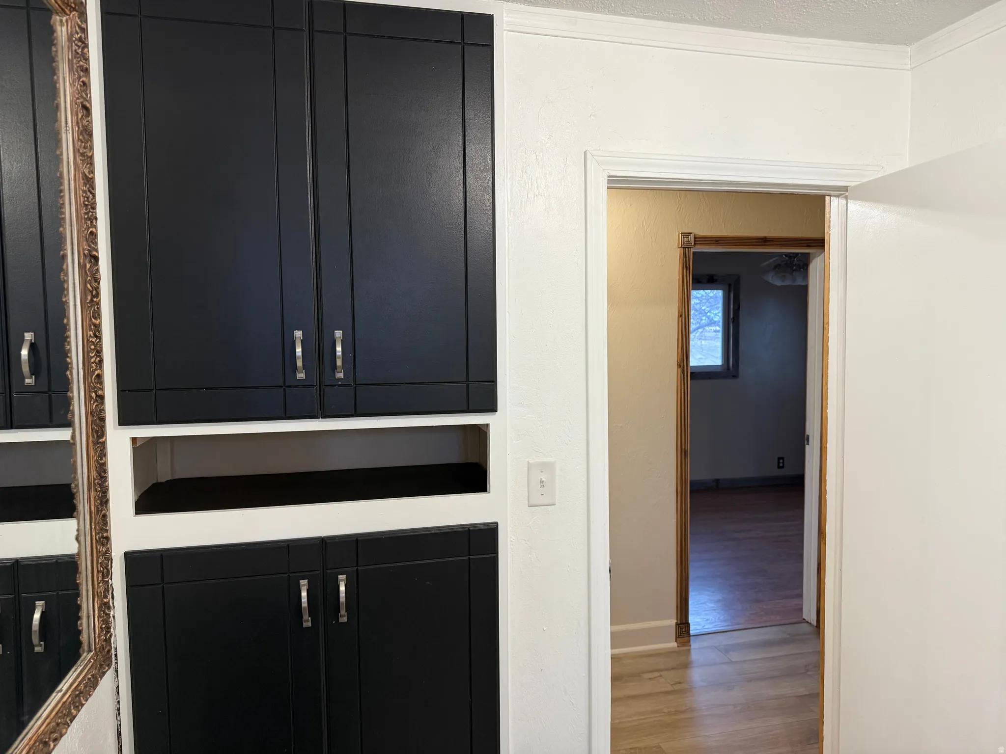 Built-in cabinetry with dark panel doors and silver-tone hardware