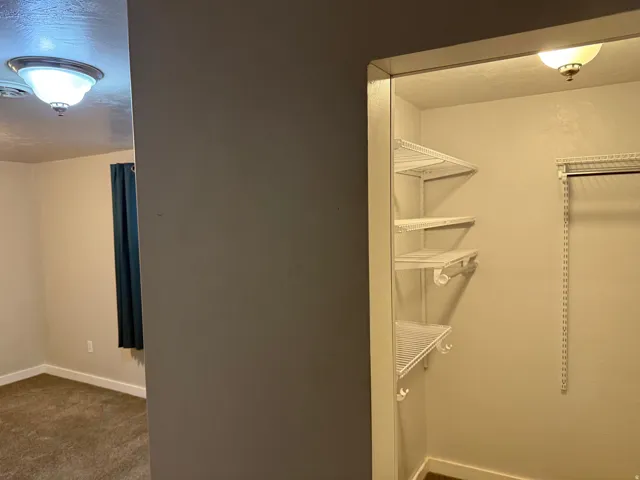 Built-in wire shelving and hanging rods in closet