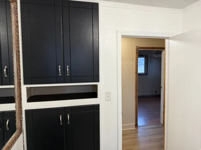 Built-in cabinetry with dark panel doors and silver-tone hardware