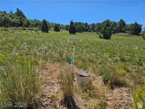 Expansive open land with natural ground cover and distant treeline