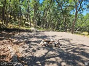Wooded lot with mature trees and a gravel surface
