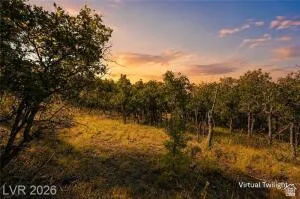 Expansive natural landscape with mature trees and open grassy areas