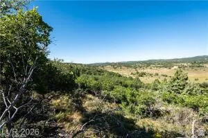 Expansive natural landscape with varied terrain and established vegetation