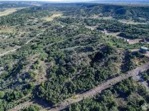 Expansive wooded landscape with varied terrain and established roads