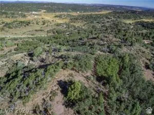 Expansive landscape featuring diverse natural vegetation and varied terrain