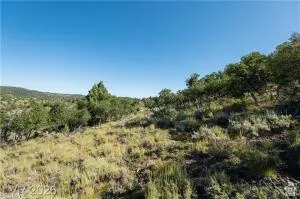 Expansive natural landscape featuring varied topography and established vegetation