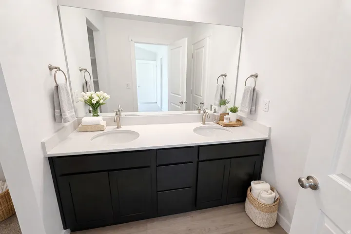 Dual under-mount sinks with brushed nickel fixtures, a light-toned countertop, dark wood-finish cabinetry, and a large wall-mounted mirror