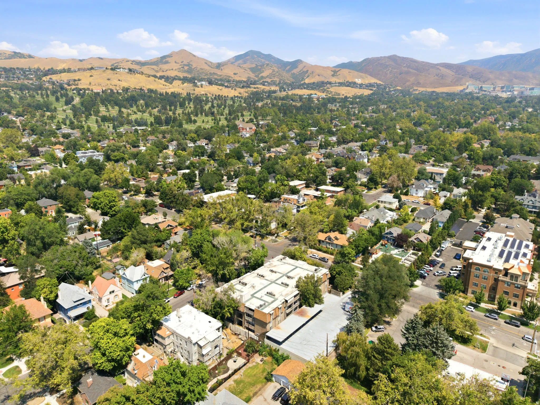 Expansive aerial perspective showcasing a residential neighborhood with mature trees, mountain backdrop, and varying property types including multi-story buildings