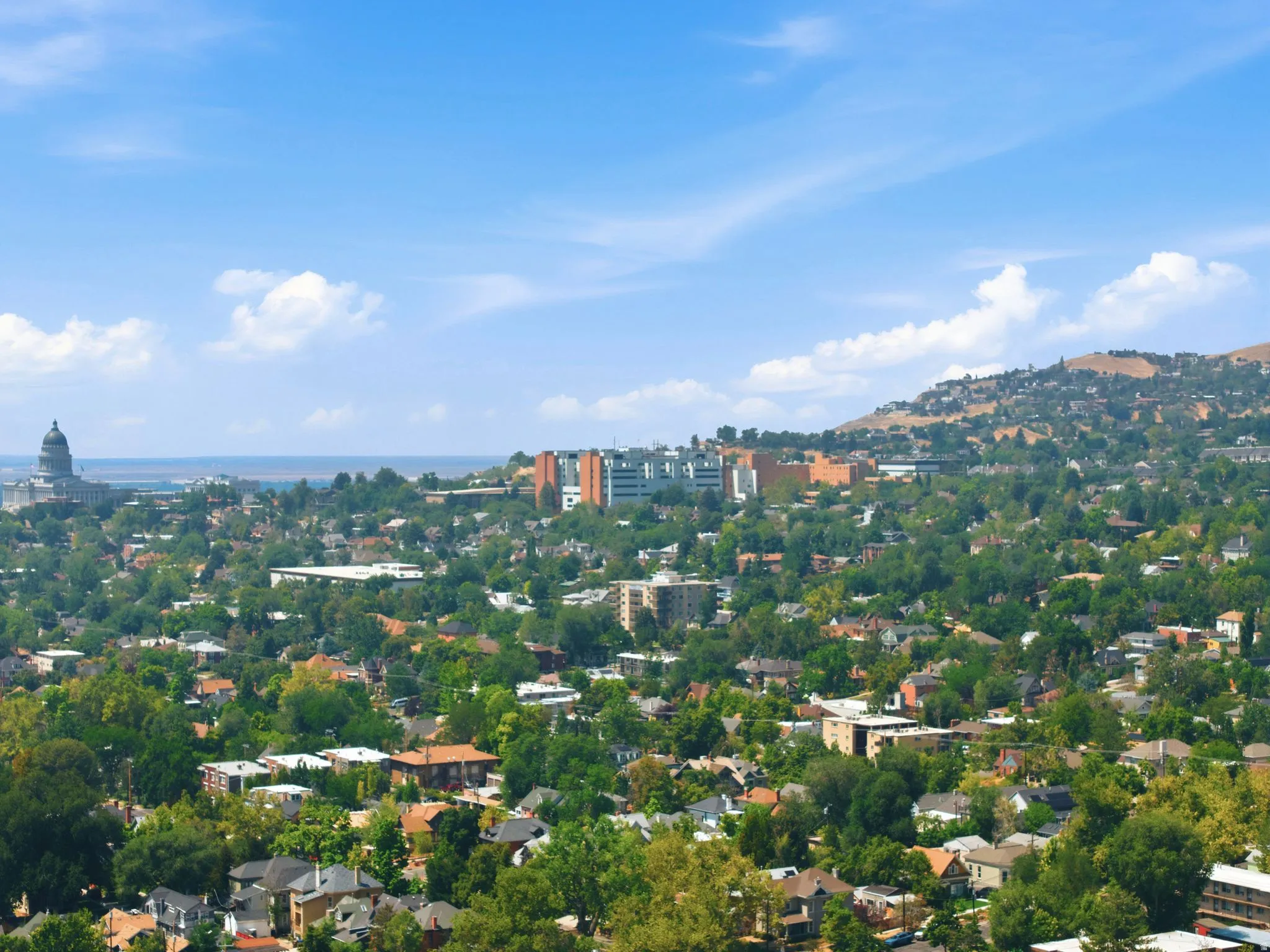 Cityscape with distant domed building, expansive green spaces, varied architectural styles, and distant hills