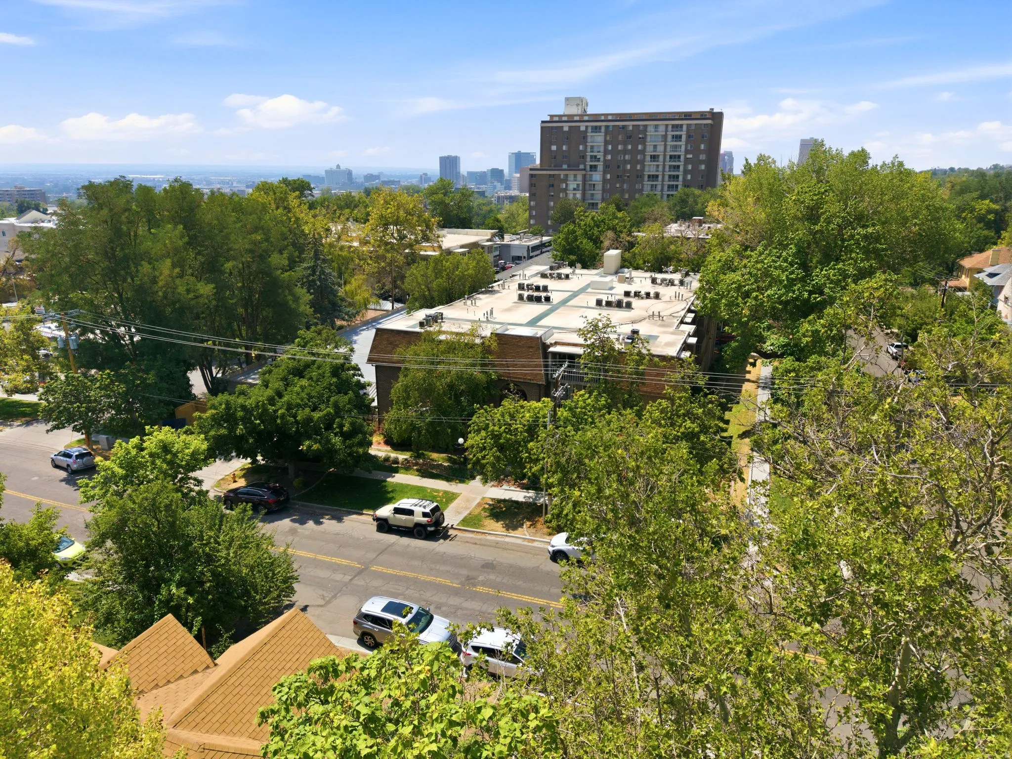 Urban setting with a distant cityscape, surrounded by mature trees