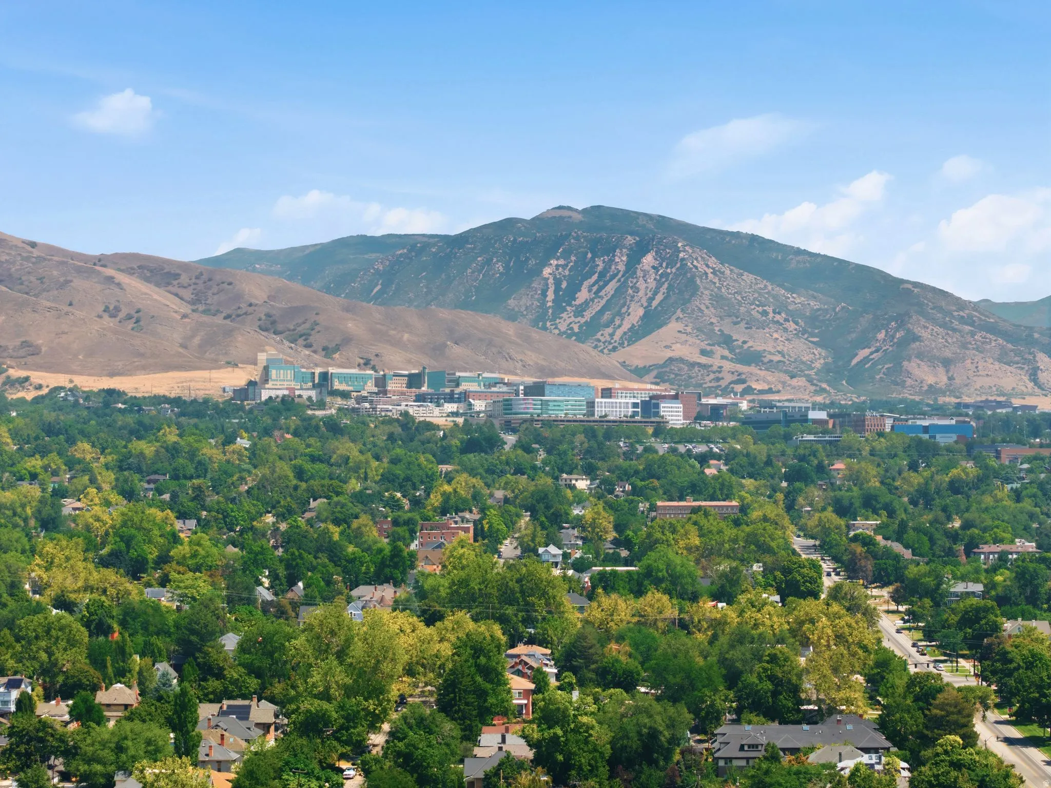 Mountain backdrop, urban area, residential neighborhood, abundant mature trees, clear sky