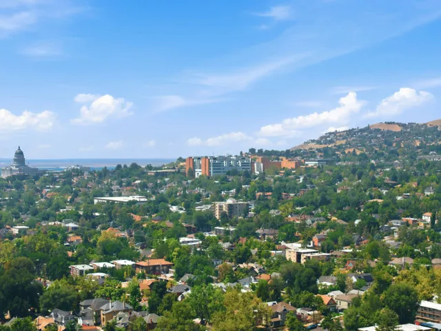 Cityscape with distant domed building, expansive green spaces, varied architectural styles, and distant hills