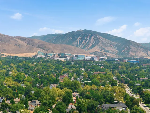 Mountain backdrop, urban area, residential neighborhood, abundant mature trees, clear sky