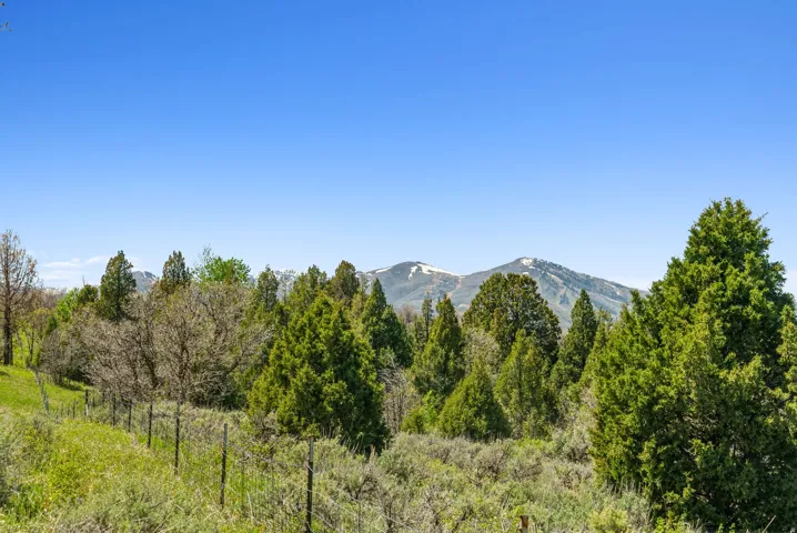 Mountain backdrop with visible snow caps