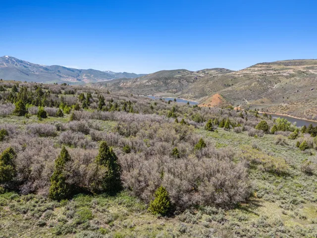 Expansive landscape featuring diverse natural vegetation, distant mountains with snow-capped peaks, and a visible body of water