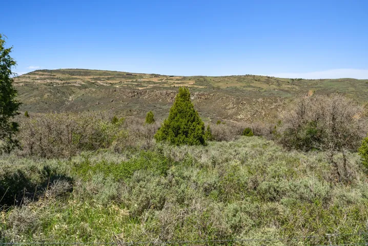 Expansive natural landscape featuring varied topography, mature hillside vegetation, and an evergreen tree