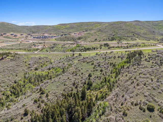 Expansive natural landscape featuring rolling hills, varied green foliage, and distant residential developments