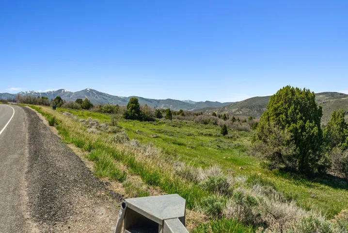 Expansive terrain featuring green vegetation, scattered trees, and a distant mountain range