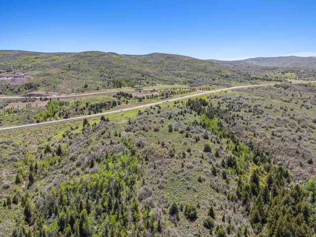 Expansive land parcel featuring diverse tree coverage and rolling hills