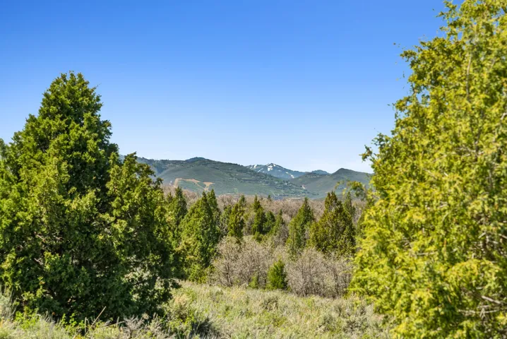 Mountainous landscape with distant snow-capped peaks and abundant natural foliage