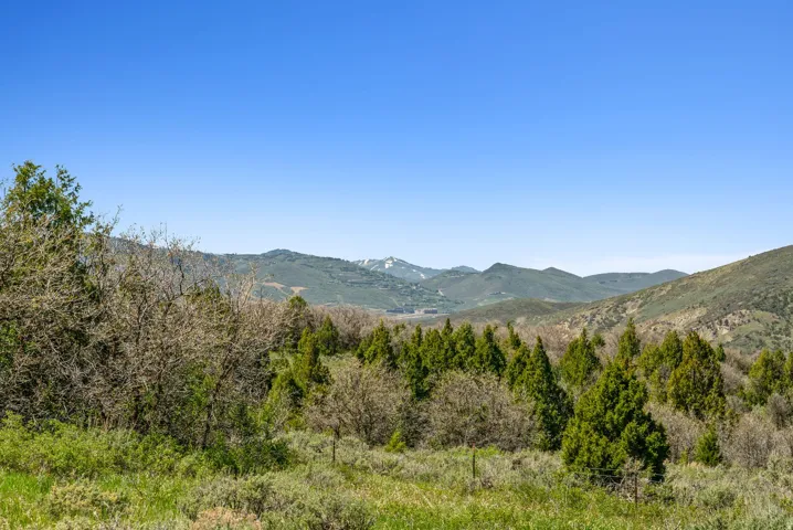 Expansive natural landscape featuring lush greenery and distant mountain ranges