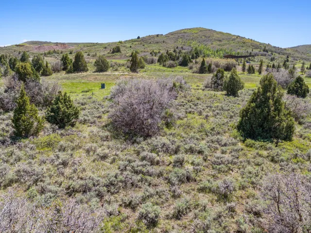 Expansive open terrain with natural vegetation and distant hills