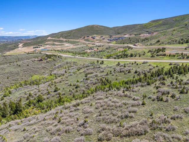 Expansive hillside terrain featuring natural vegetation and scattered evergreen trees