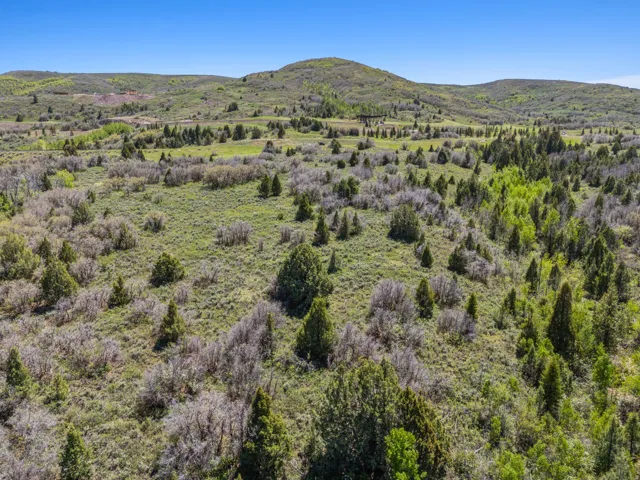 Expansive natural landscape featuring rolling hills and diverse tree cover