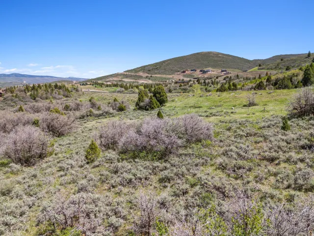 Expansive open terrain with diverse vegetation, including shrubs and trees