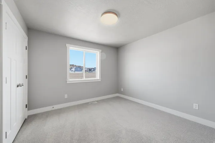 Neutral gray wall color, light gray carpeting, white trim, a double-pane window, and a flush-mount ceiling light