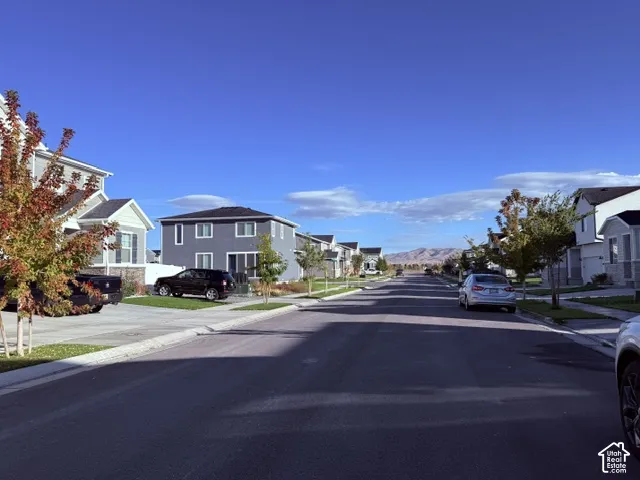 A beautiful neighborhood
